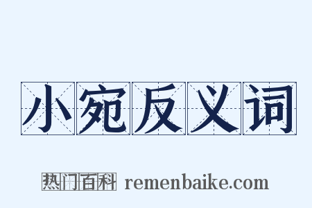 小宛反义词是什么意思的图片